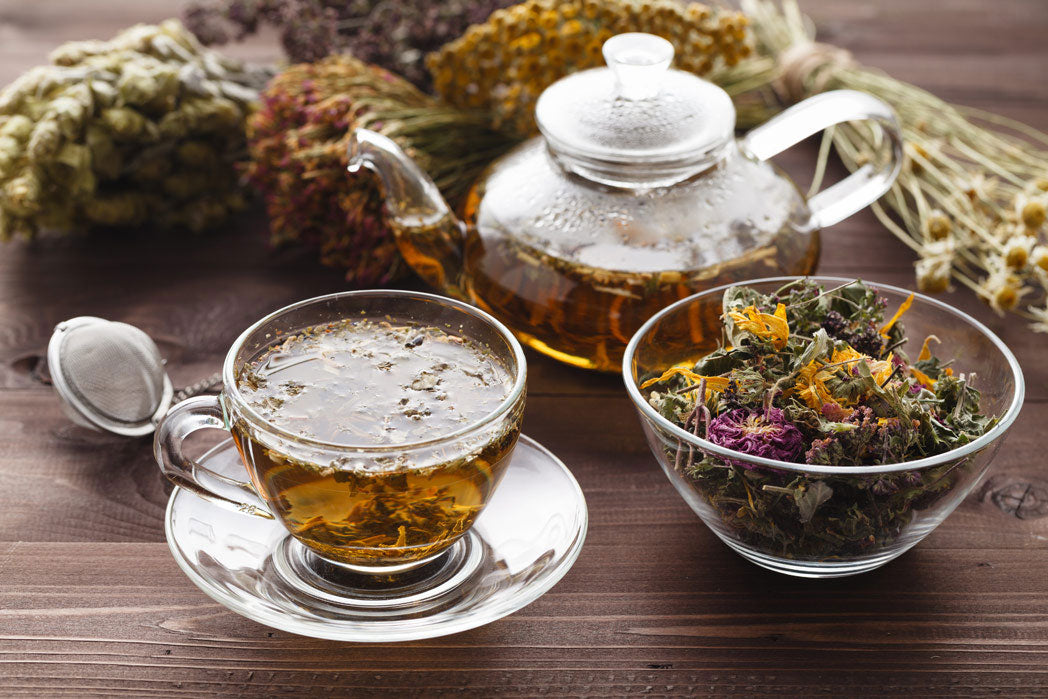Was ist Tee und warum Früchtetee eigentlich gar kein "Echter Tee" ist - kleine Sachkundestunde mit dem IMOGTI Tee Elefanten